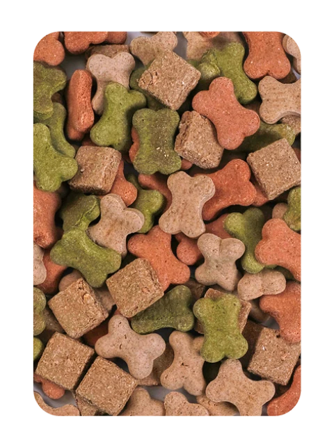 Mélange Coloré 10 kg
