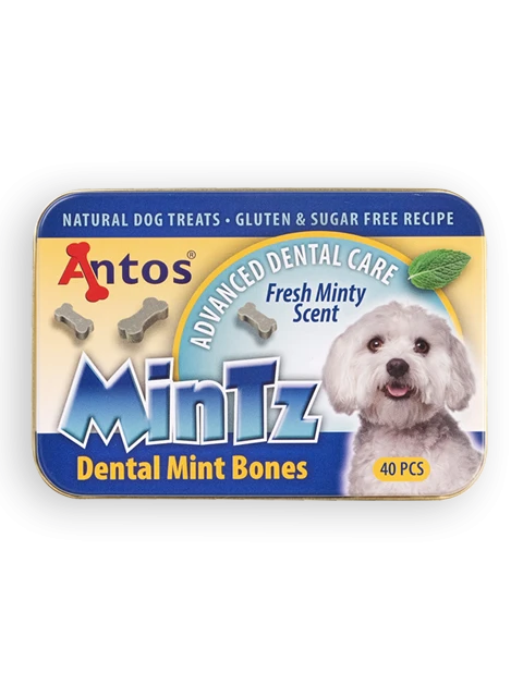 MinTz Dental Mint Bones 40 pces