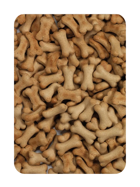 Puppy Agneau&Riz 10 kg