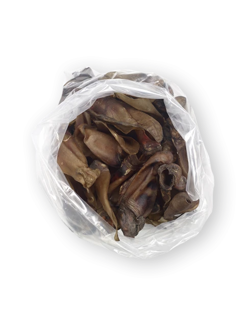 Oreilles de Boeuf XL avec conque