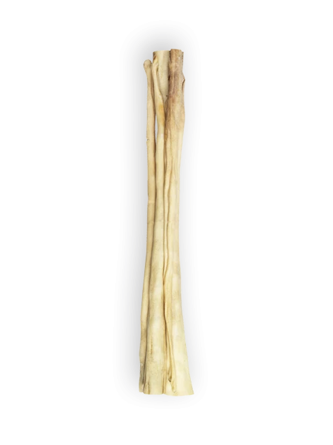 Queue de Boeuf 30 cm
