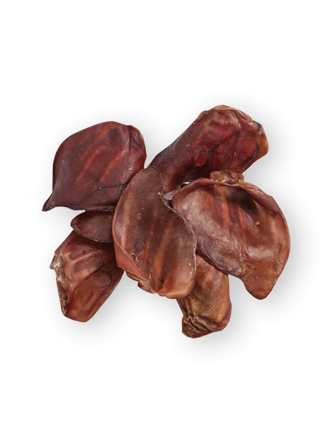 Oreilles de Porc Grand