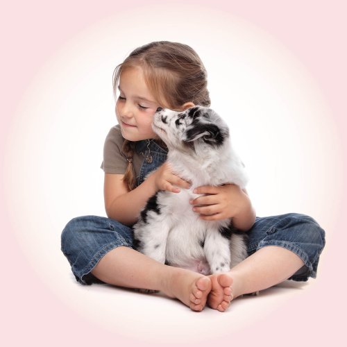 Bienvenue à ton nouveau chiot