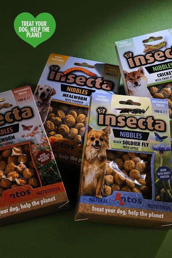 Notion de durabilité