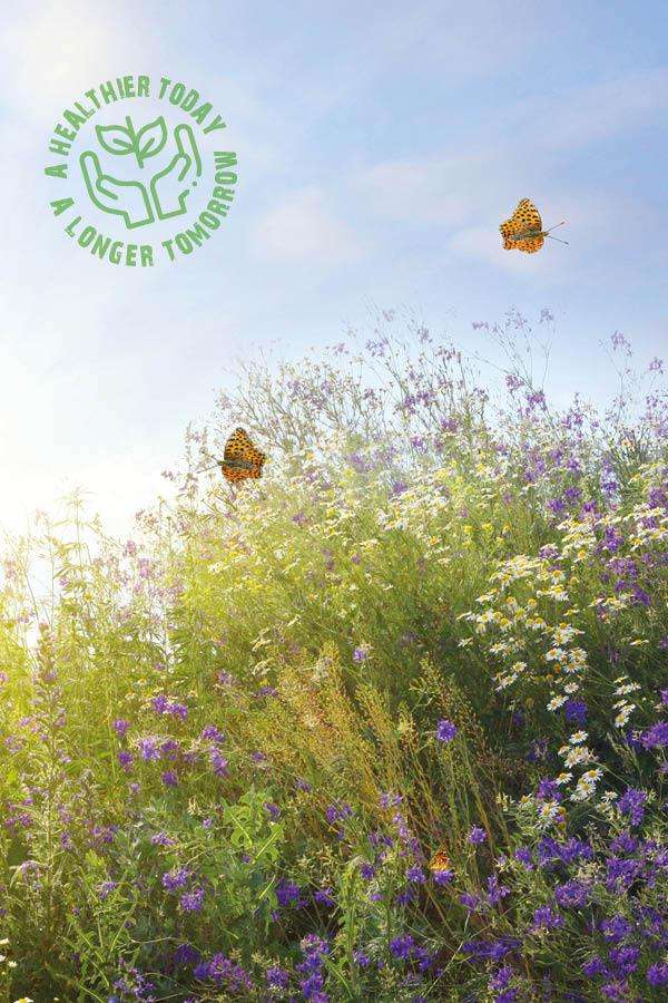 Vie à caractère durable