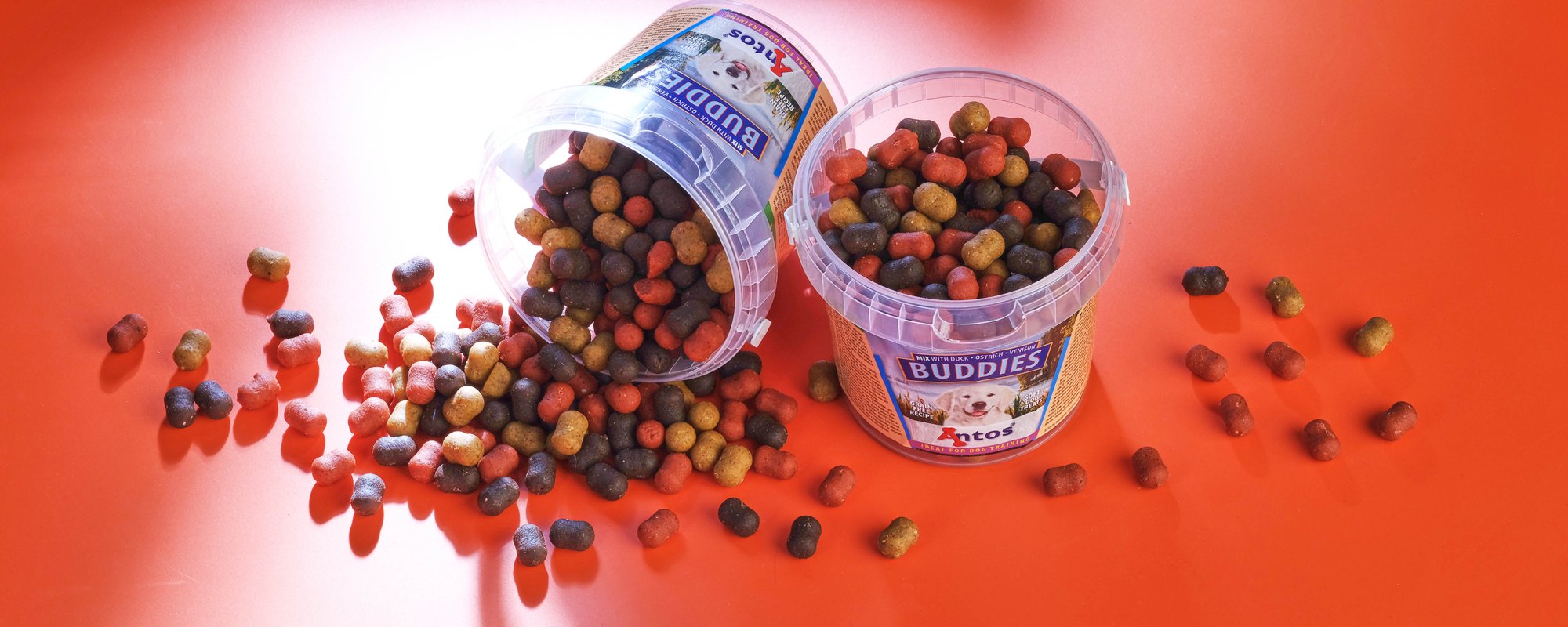 Style de vie sain et heureux