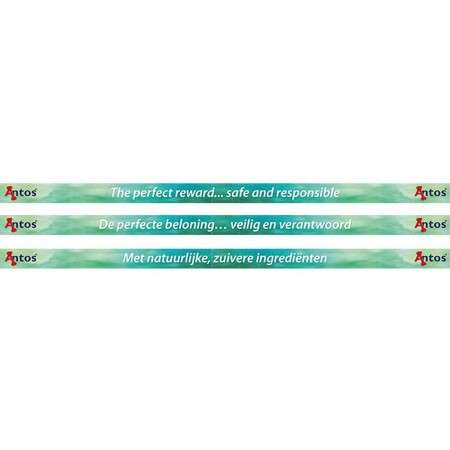 Bandes d'étagère 980x39 mm 10 pces